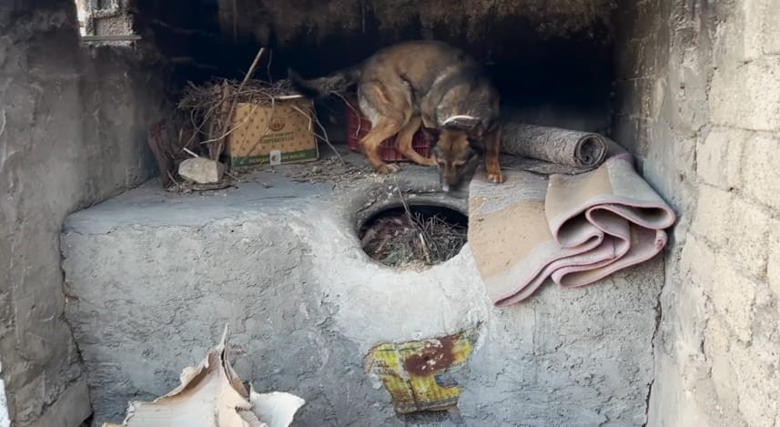Batman'da narkotik ekipleri, bir evin ek bölümünde yapılan aramada ekmek