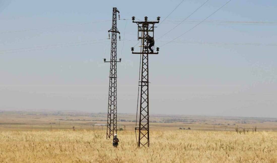 Dicle Elektrik, Mardin'de tarımsal sulama abonelerinden tahsil edilemeyen milyarlarca TL'lik