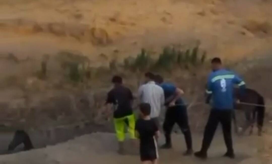 Siirt’in Kurtalan ilçesinde çamura saplanan bir at, köylülerin kendi imkanlarıyla