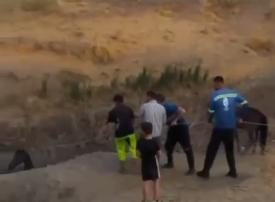 Siirt’in Kurtalan ilçesinde çamura saplanan bir at, köylülerin kendi imkanlarıyla