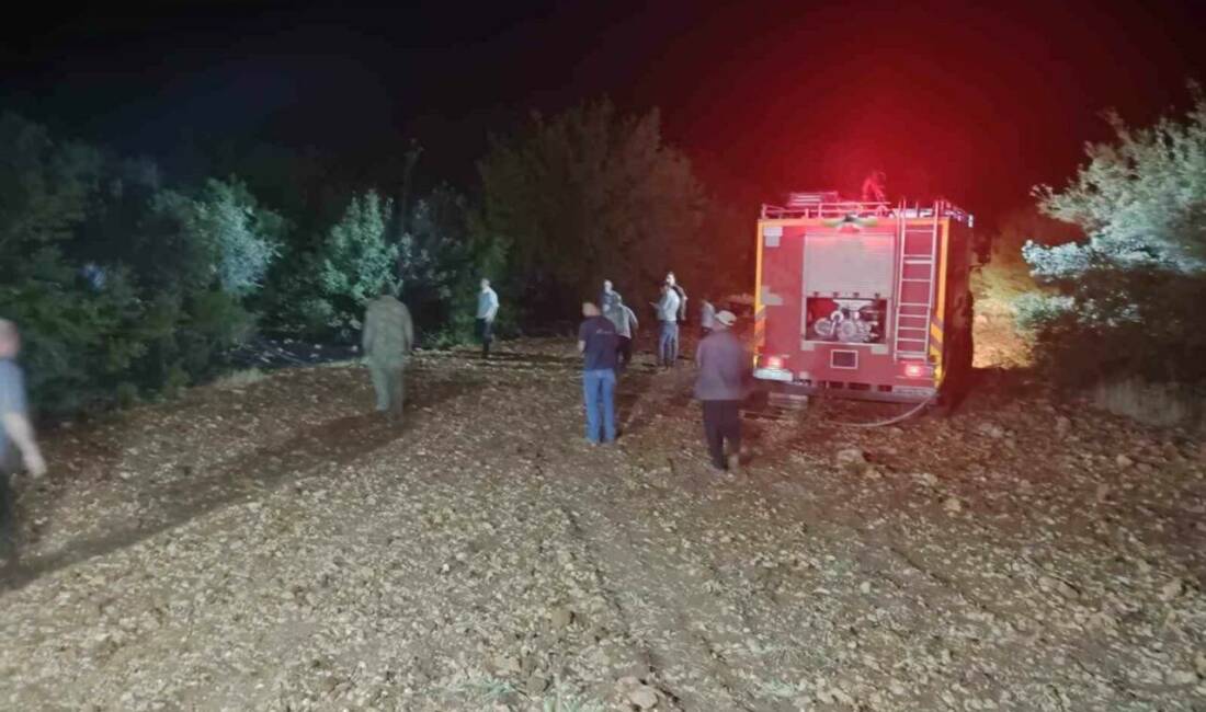 Besni ilçesinde çıkan çöp yangını kısa sürede ormanlık alana sıçradı