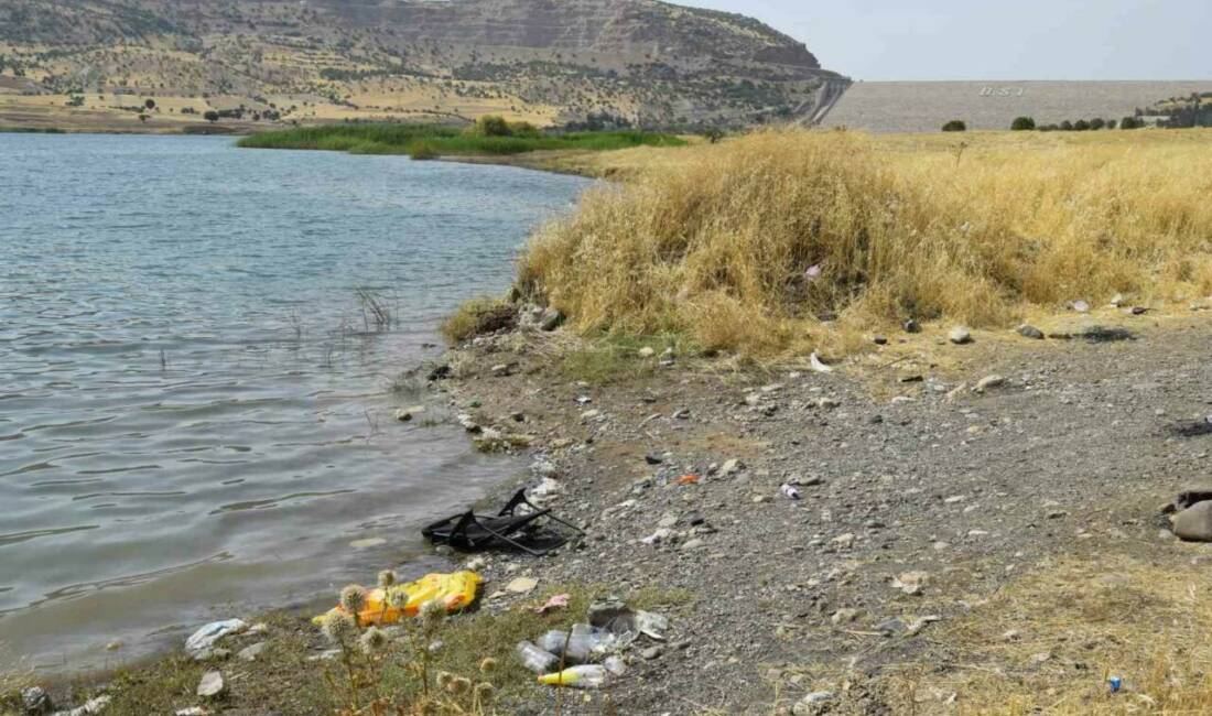 Diyarbakır'ın Dicle ilçesinde bulunan Kıralkızı Barajı çevresindeki alanların temizlenmesi ve