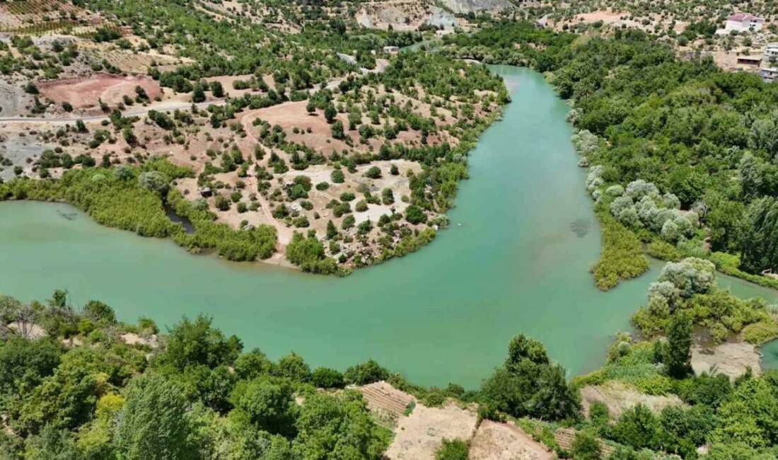 Diyarbakır’ın Dicle ilçesinde berrak suyu ve yeşilliğiyle göz kamaştıran Değirmenli