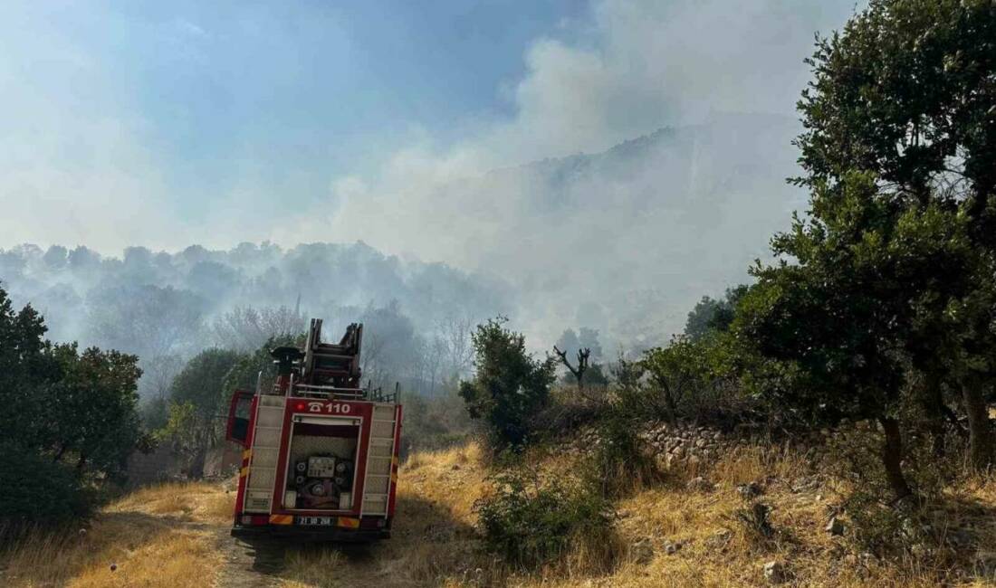 Diyarbakır’ın Lice ilçesinde çıkan orman yangınına helikopter desteğiyle müdahale edilen