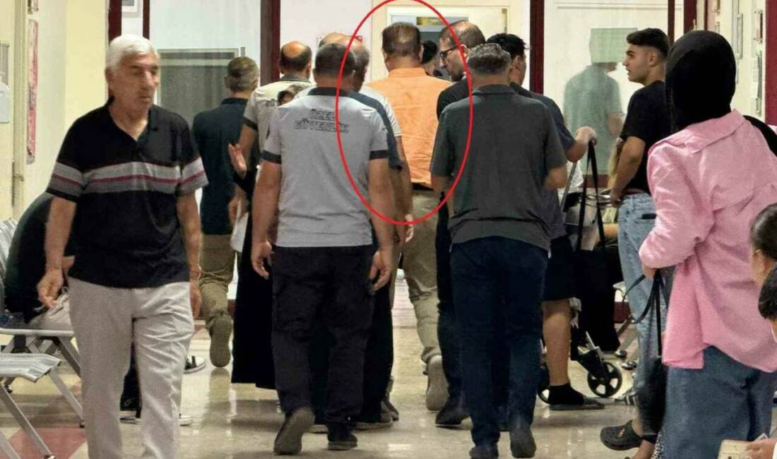 Diyarbakır Gazi Yaşargil Eğitim ve Araştırma Hastanesi'ne annesini getiren bir