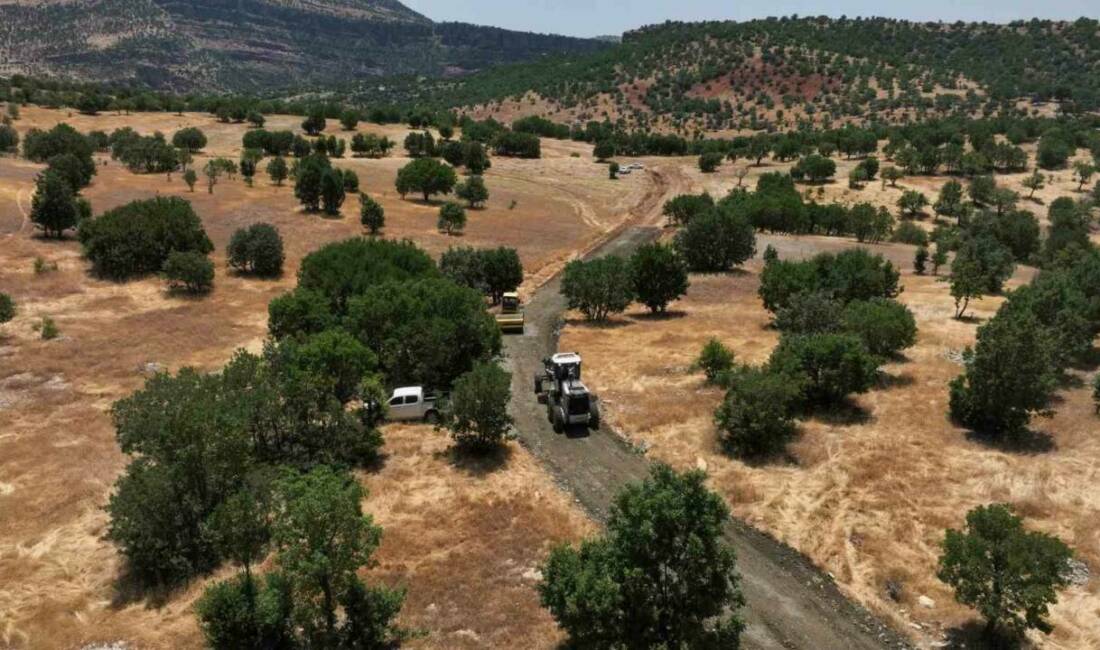Diyarbakır Büyükşehir Belediyesi, Kulp ilçesine bağlı Hamzalı Mahallesi'nin Yol Çatı