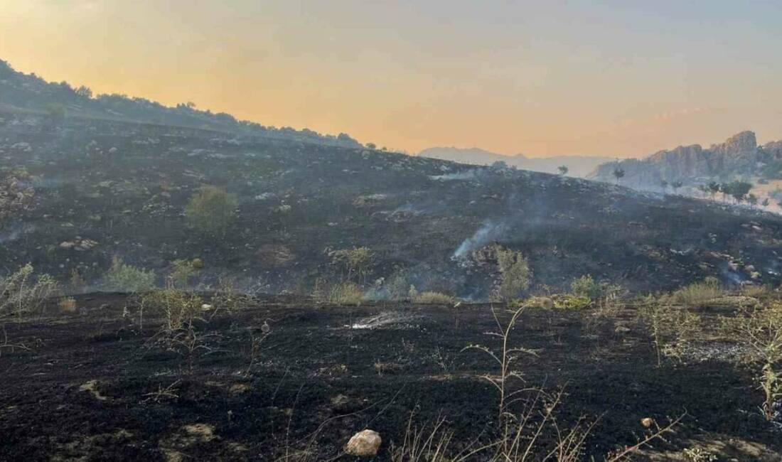 Ergani ilçesinde çıkan yangın ormanlık alana sıçradı ve söndürme çalışmaları