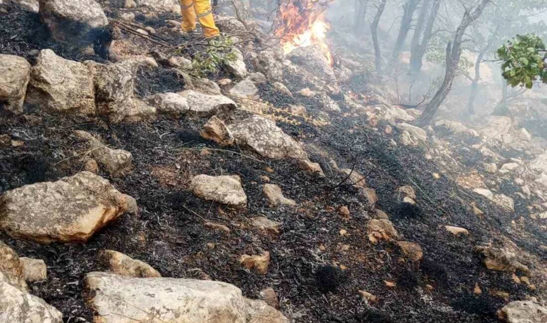 Diyarbakır'ın Lice ilçesinde Duru ve Yorulmaz mahallelerinde çıkan orman yangınına