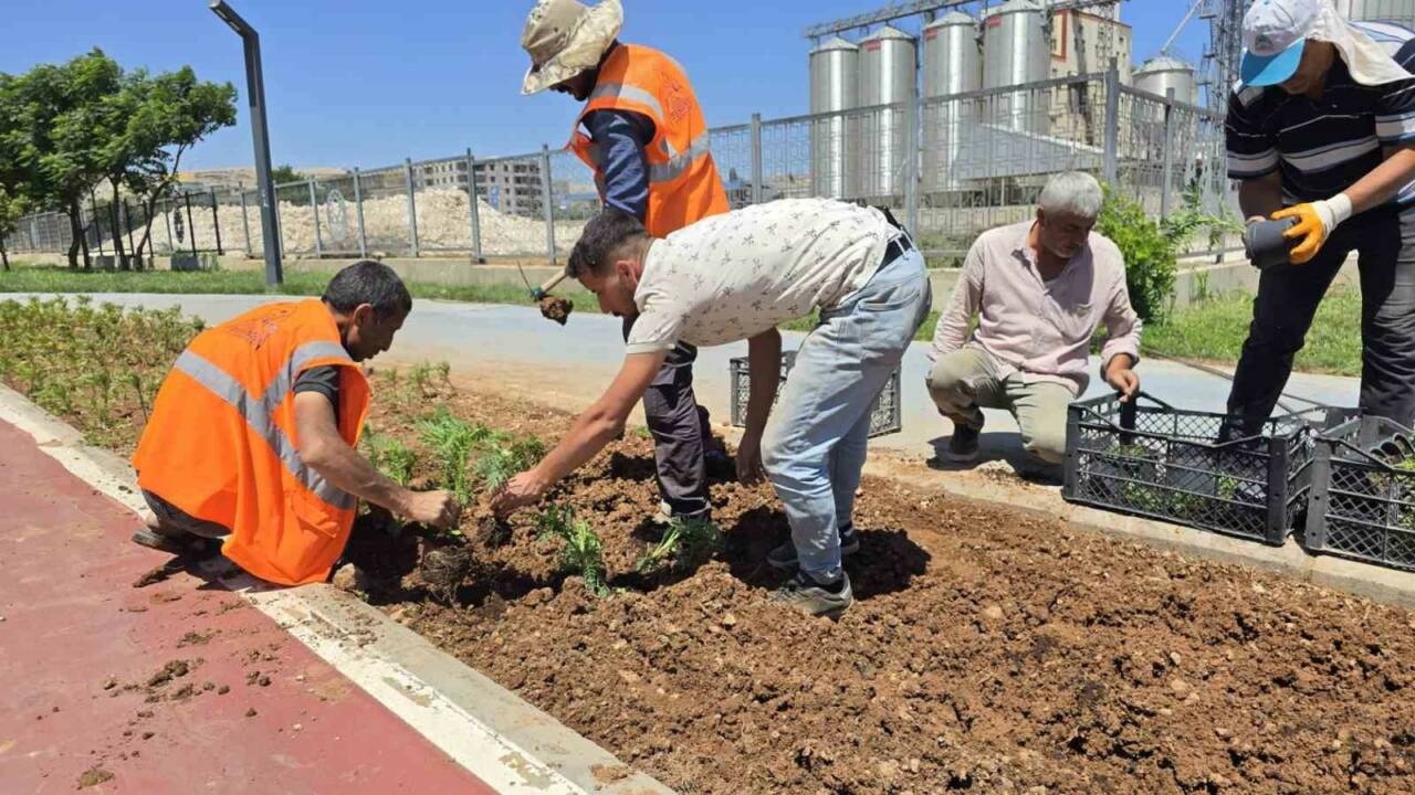 Eyyübiye Belediyesi, kendi seralarında yetiştirdiği fidan ve süs bitkileriyle ilçedeki