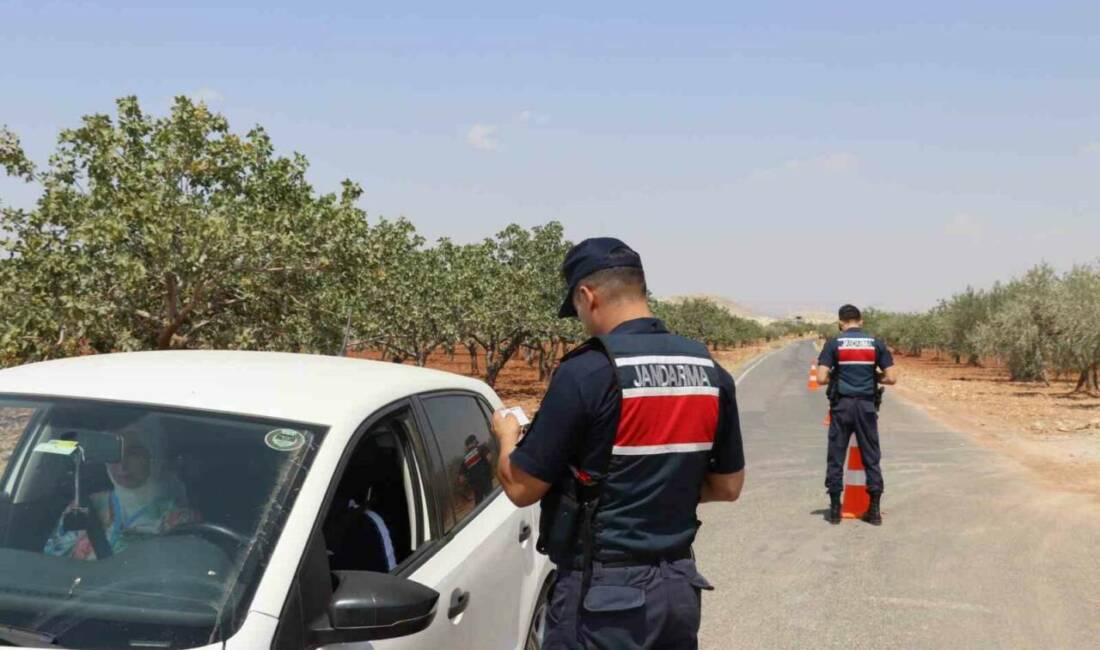 Gaziantep’te fıstık hasat dönemi öncesinde jandarma ekipleri, fıstık bahçelerinde hırsızlık