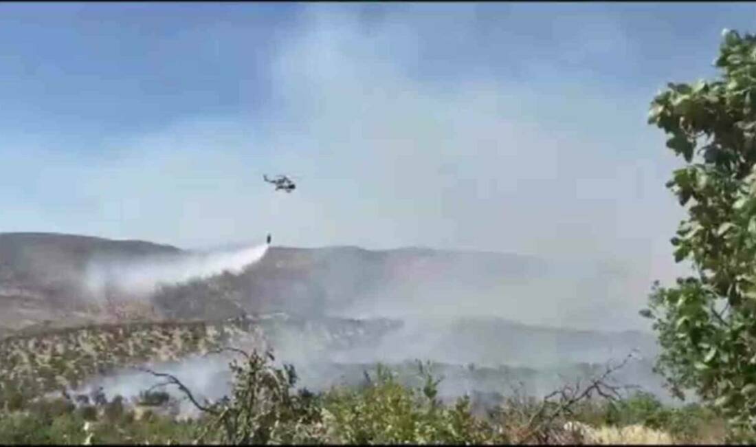 Şırnak'ın Güçlükonak ilçesinde Gabar Dağı'nda ormanlık alanda başlayan yangına Orman