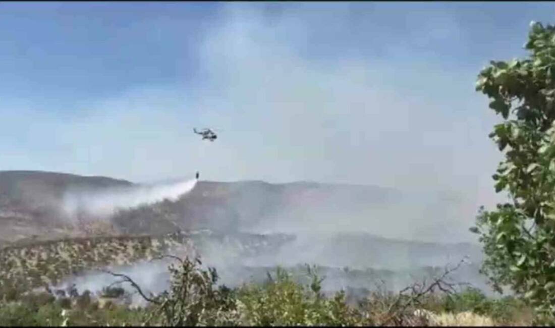 Şırnak'ın Güçlükonak ilçesindeki Gabar Dağı'nda çıkan orman yangını, havadan ve