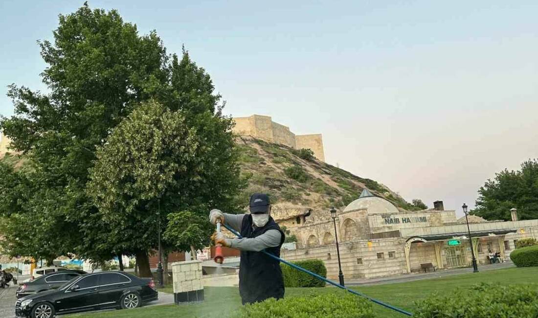 Gaziantep Büyükşehir Belediyesi, yaz aylarında yeşil alanlardaki kene kaynaklı sorunları