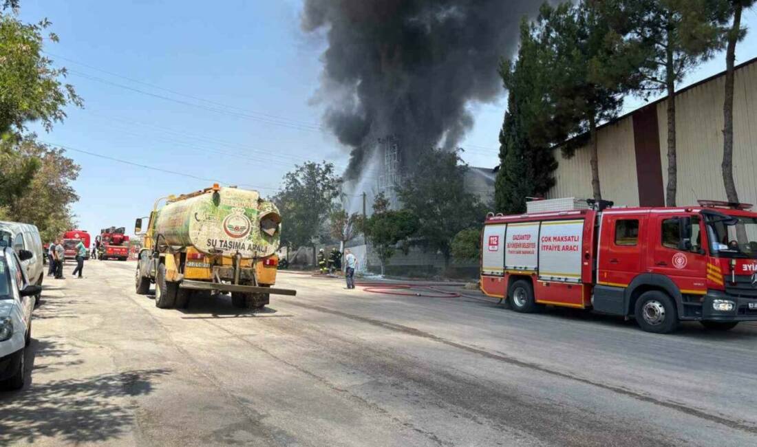 Gaziantep'te Körkün Mahallesi'ndeki bir halı fabrikasında henüz bilinmeyen bir sebeple