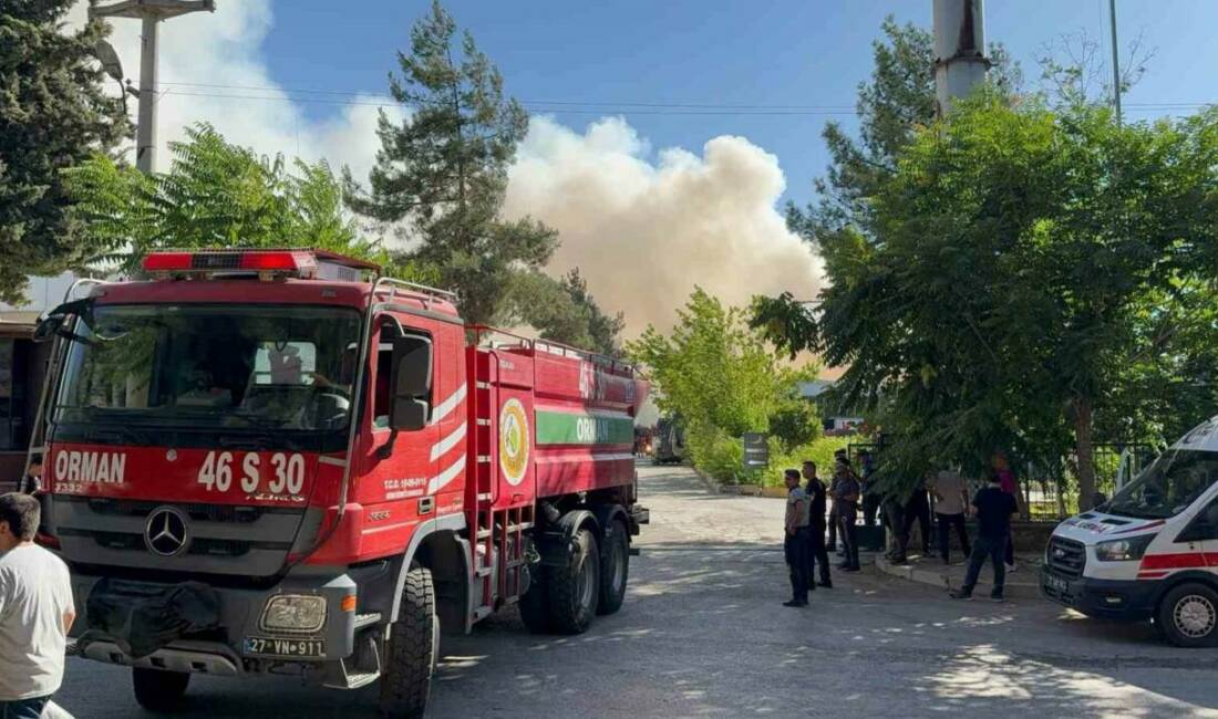Gaziantep'in 1. Organize Sanayi Bölgesi'ndeki Yakamoz Halı Fabrikası'nda sebebi henüz