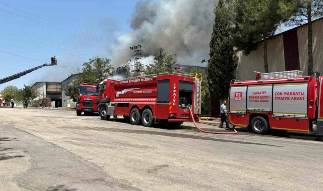 Gaziantep’te halı fabrikasındaki yangın kontrol altına alındı Gaziantep'te bir halı fabrikasında çıkan yangın, 23 araç ve 52