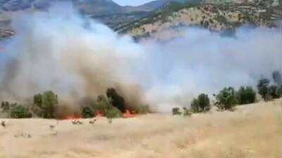 Adıyaman’ın Gerger ilçesinde meydana gelen orman yangını korkuttu.