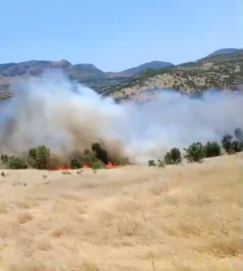 Adıyaman’ın Gerger ilçesinde meydana gelen orman yangını korkuttu.