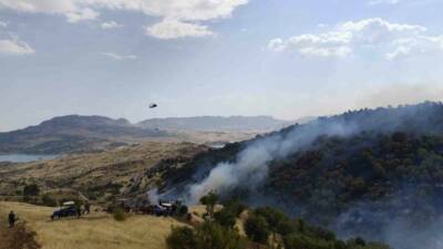 Adıyaman'ın Gerger ilçesine bağlı Keleşan Mahallesi'nde sabah saatlerinde ormanlık alanda