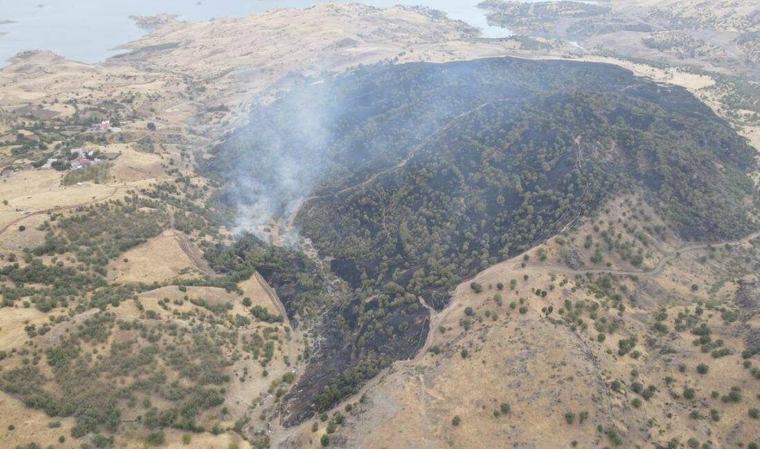 Adıyaman'ın Gerger ilçesinde çıkan orman yangını, ekiplerin yoğun müdahalesi sayesinde