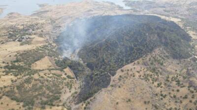 Adıyaman'ın Gerger ilçesinde çıkan orman yangını, ekiplerin yoğun müdahalesi sayesinde
