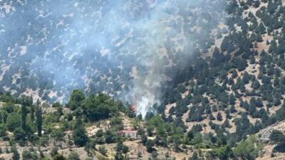 Adıyaman’ın Gölbaşı ilçesinde nedeni bilinmeyen bir nedenle 5 dönümlük ormanlık