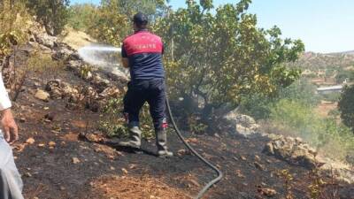 Adıyaman’ın Gölbaşı ilçesinde ormanlık alanda çıkan yangın büyümeden söndürüldü.