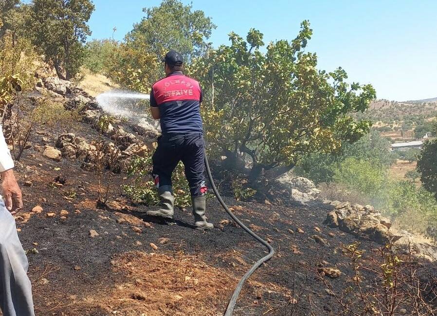 Adıyaman’ın Gölbaşı ilçesinde ormanlık alanda çıkan yangın büyümeden söndürüldü.