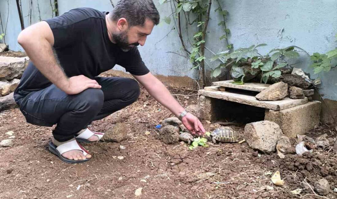 Diyarbakır'ın Yenişehir ilçesindeki bir kıraathanenin sahibi İlyas Özsucu, sokakta bulduğu