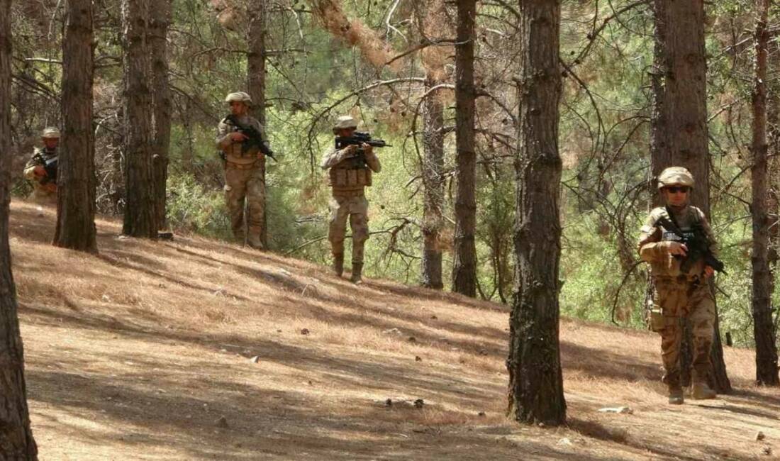 Türkiye’nin birçok farklı bölgesinde yaşanan orman yangınları sonrası Adıyaman İl