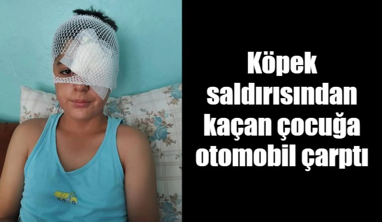 Viranşehir ilçesinde kaldırımda köpek saldırısından kaçan bir çocuğa otomobil çarptı.