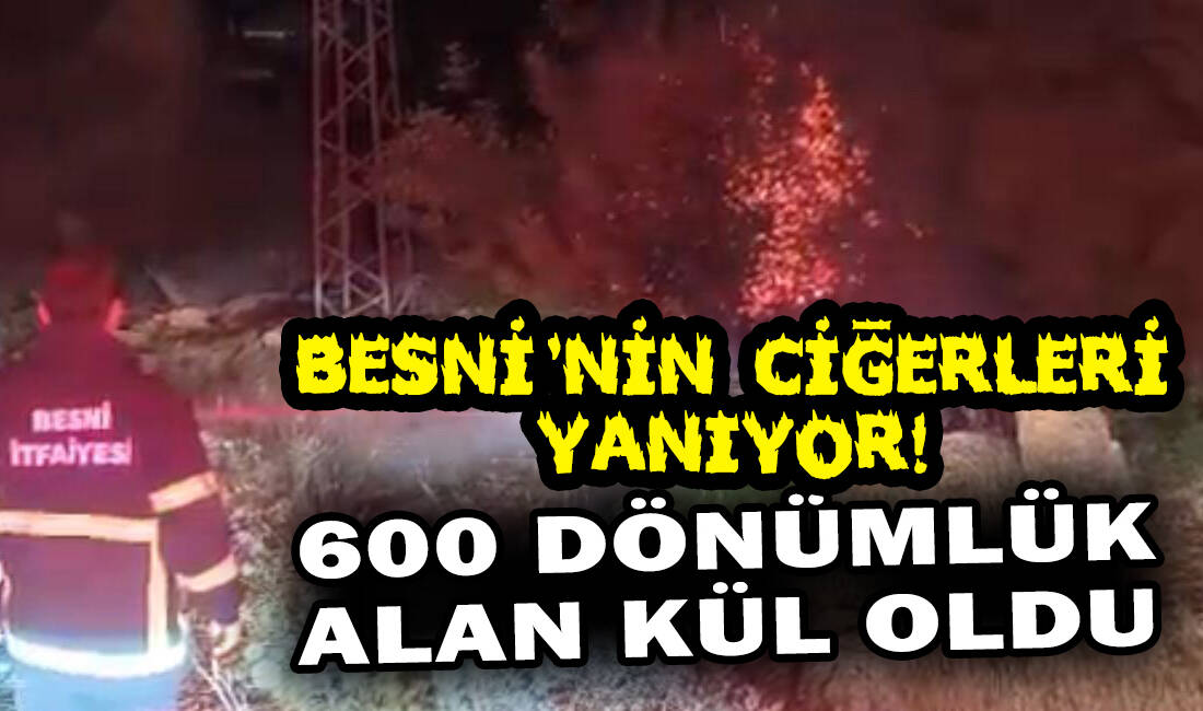 Besni’ye bağlı Kıraçhayma ve Körtenli köylerinde çıkan orman yangınları, Besni
