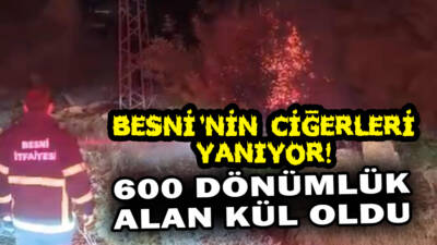 Besni’ye bağlı Kıraçhayma ve Körtenli köylerinde çıkan orman yangınları, Besni