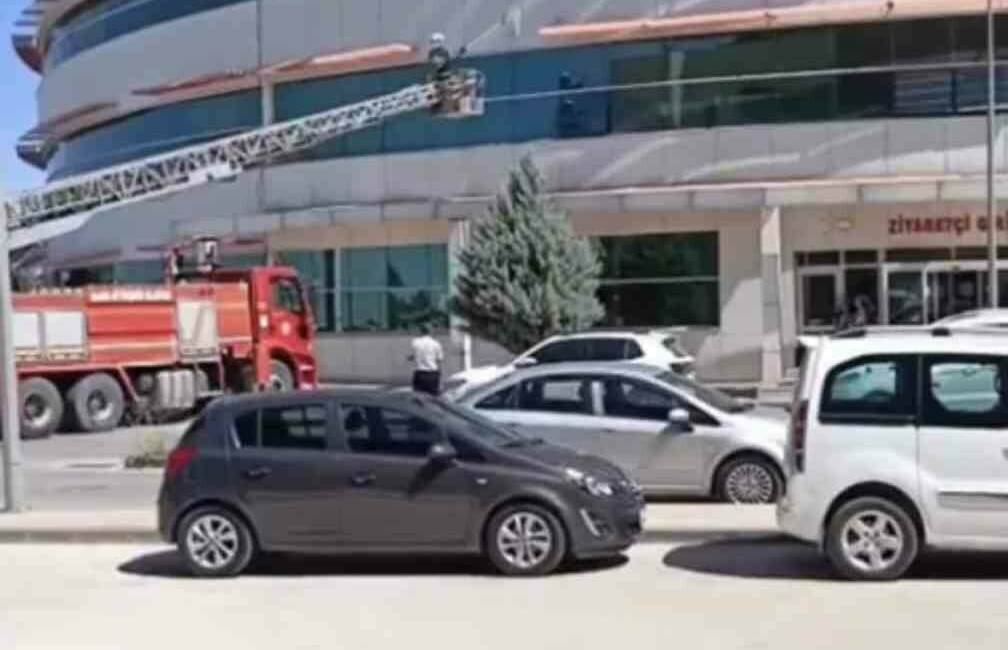 Mardin'in Nusaybin ilçesinde hastanenin dış cephesinde mahsur kalan kedi, itfaiye