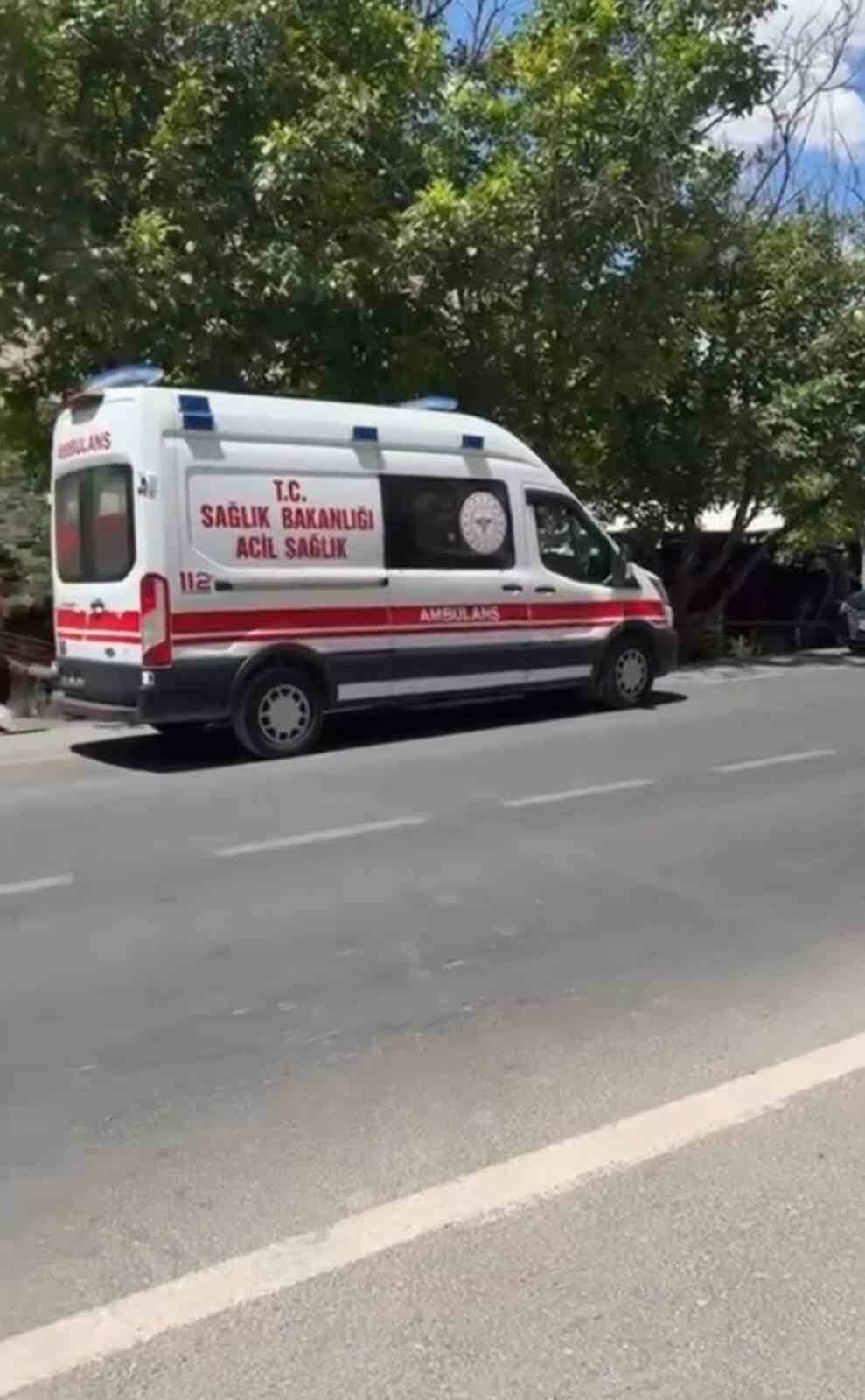 Mardin'de Nusaybin-Midyat Yolu'nda meydana gelen trafik kazasında iki otomobil çarpıştı