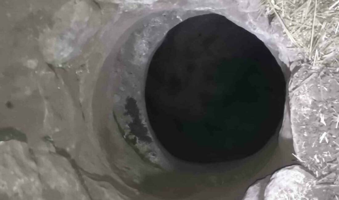 Mardin'in Artuklu ilçesine bağlı Yolbilen Mahallesi'nde kuyuya düşen bir keçi,