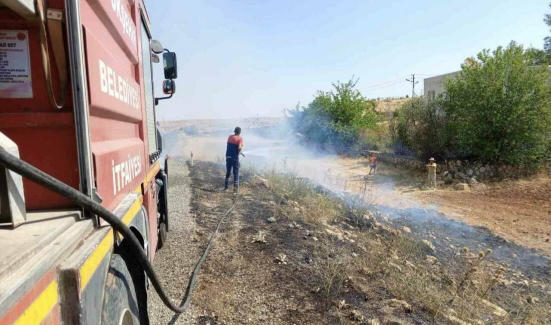 Mardin'in Midyat ilçesinde Söğütlü Mahallesi'nde ormanlık alanda çıkan örtü yangınına