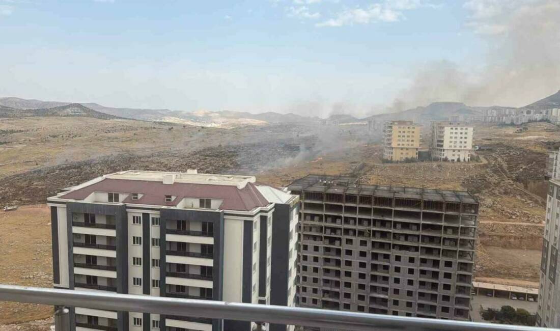 Mardin'in Artuklu ilçesinde Nur Mahallesi'nde çıkan otluk yangın, itfaiye ekipleri