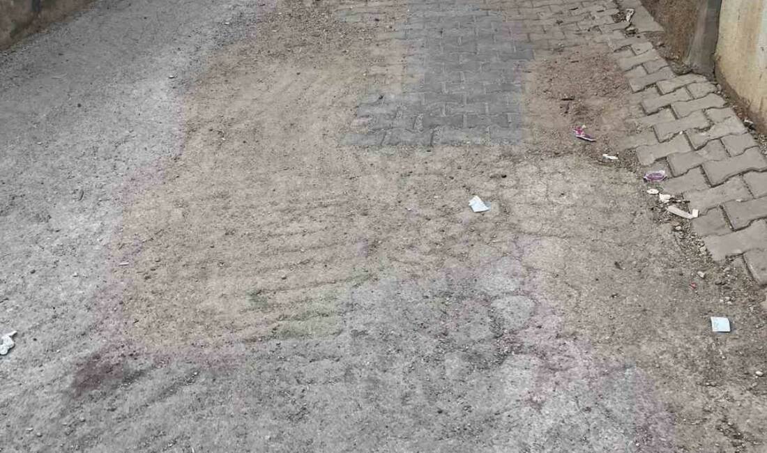 Mardin, Mazıdağı ilçesinde altyapı çalışmaları nedeniyle yapılmayan Kiraz Sokak, sakinlerini