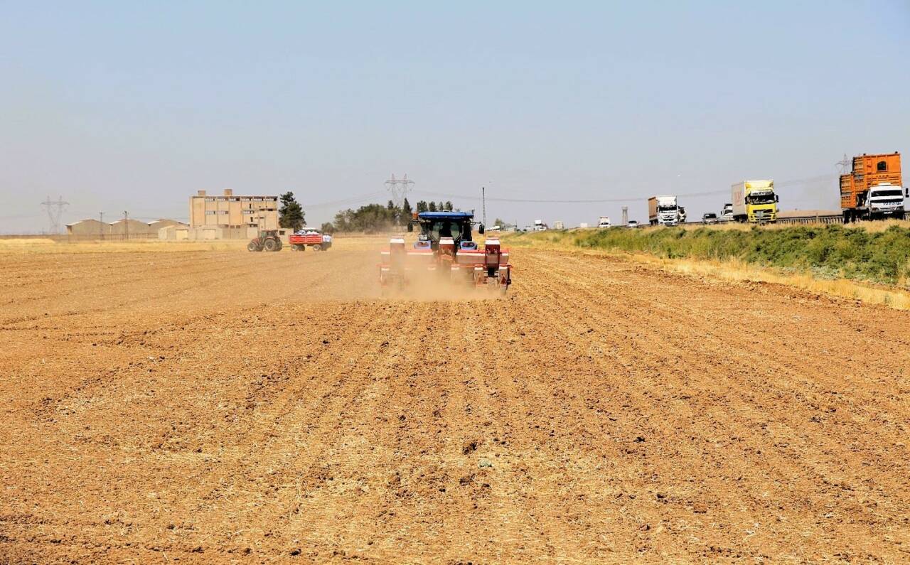 Dicle Elektrik, mısır üretimine getirilen yasağa rağmen kaçak sulama yapan