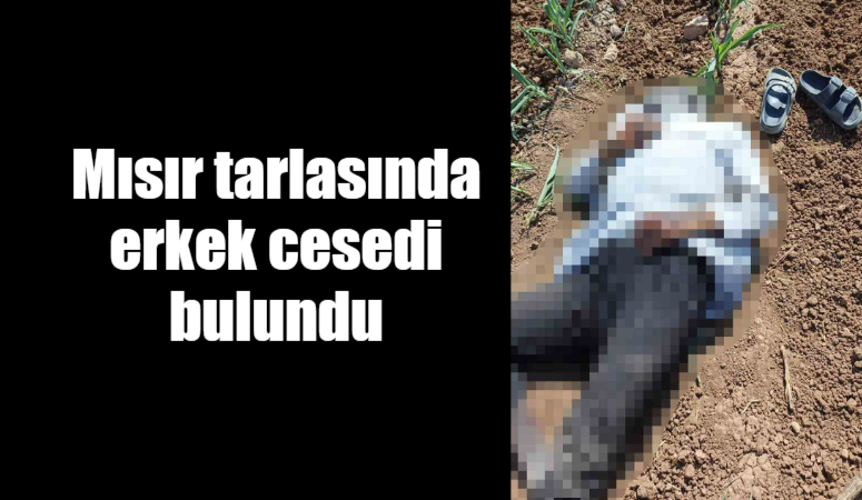 Şanlıurfa’nın Akçakale ilçesinde mısır tarlasında bir erkek cesedi bulundu.