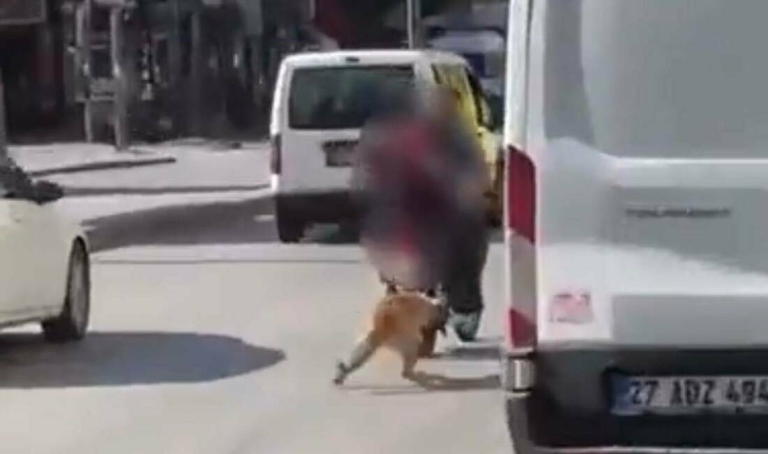 Gaziantep'te motosikletin arkasına bağlanmış bir köpeğin zorla sürüklenmesi, bir vatandaş