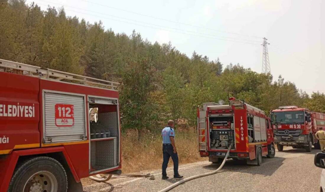 Nizip Belkız Köyü mesire alanında yangın Gaziantep'in Nizip ilçesine bağlı Belkız Köyü Mesire Alanı'nda bilinmeyen bir