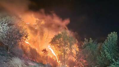 Besni ilçesinde meydana gelen orman ve bahçe yangınları kontrol altına