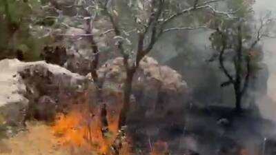 Adıyaman'ın Derinsu Köyü'nün Oruçlu Mezrası yakınlarında çıkan orman yangını, itfaiye