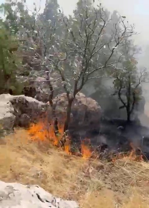 Adıyaman'ın Derinsu Köyü'nün Oruçlu Mezrası yakınlarında çıkan orman yangını, itfaiye