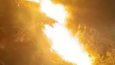 Adıyaman'ın Albet Köyü yakınlarında ormanlık alanda çıkan yangın, itfaiye ekipleri