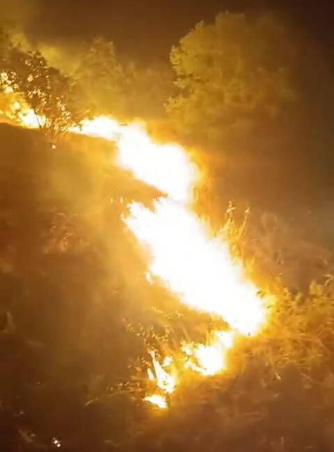 Adıyaman'ın Albet Köyü yakınlarında ormanlık alanda çıkan yangın, itfaiye ekipleri