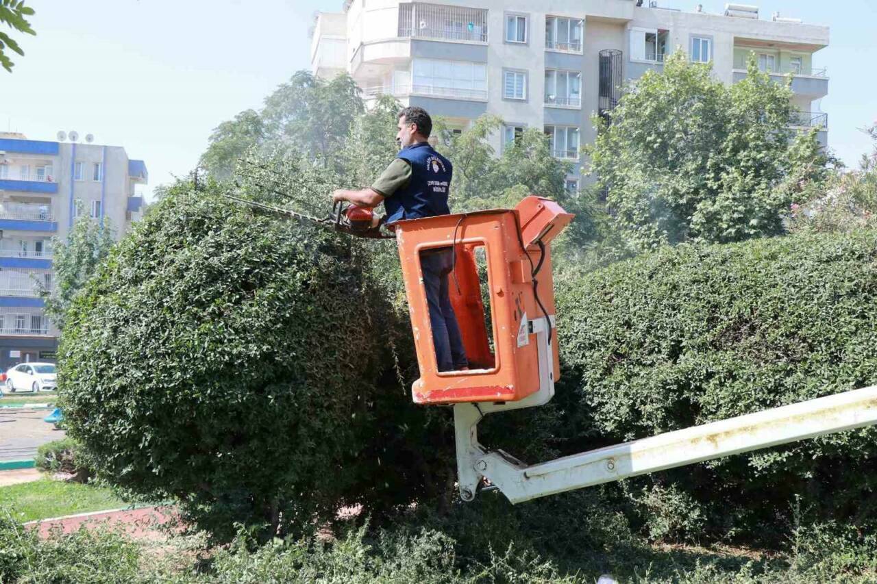 Haliliye Belediyesi, ilçede peyzaj düzenlemeleri ve park yenileme çalışmalarıyla vatandaşlara
