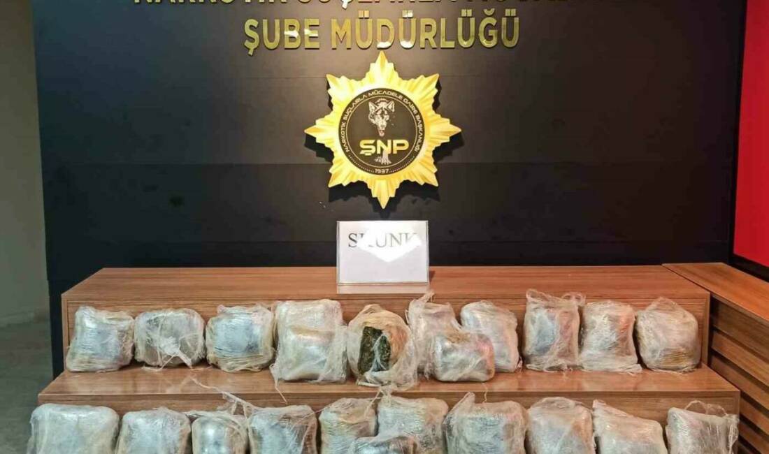 Şanlıurfa'da, Narkotik Suçlarla Mücadele Şubesi ekipleri tarafından durdurulan bir tırda